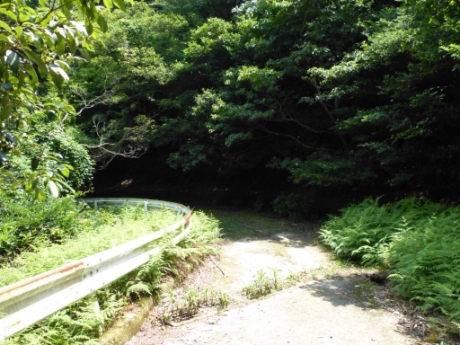 画像15